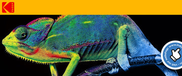 Launch of KODACOLOR Film-to-Fabric (also known as DTF or Direct-to-Film) Ink System