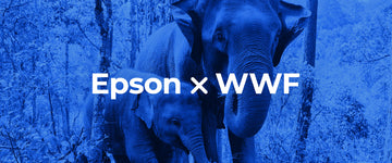 TextIntel article: "Epson And WWF Launch 3-Year Partnership To Recover And Restore Forests Around The World"